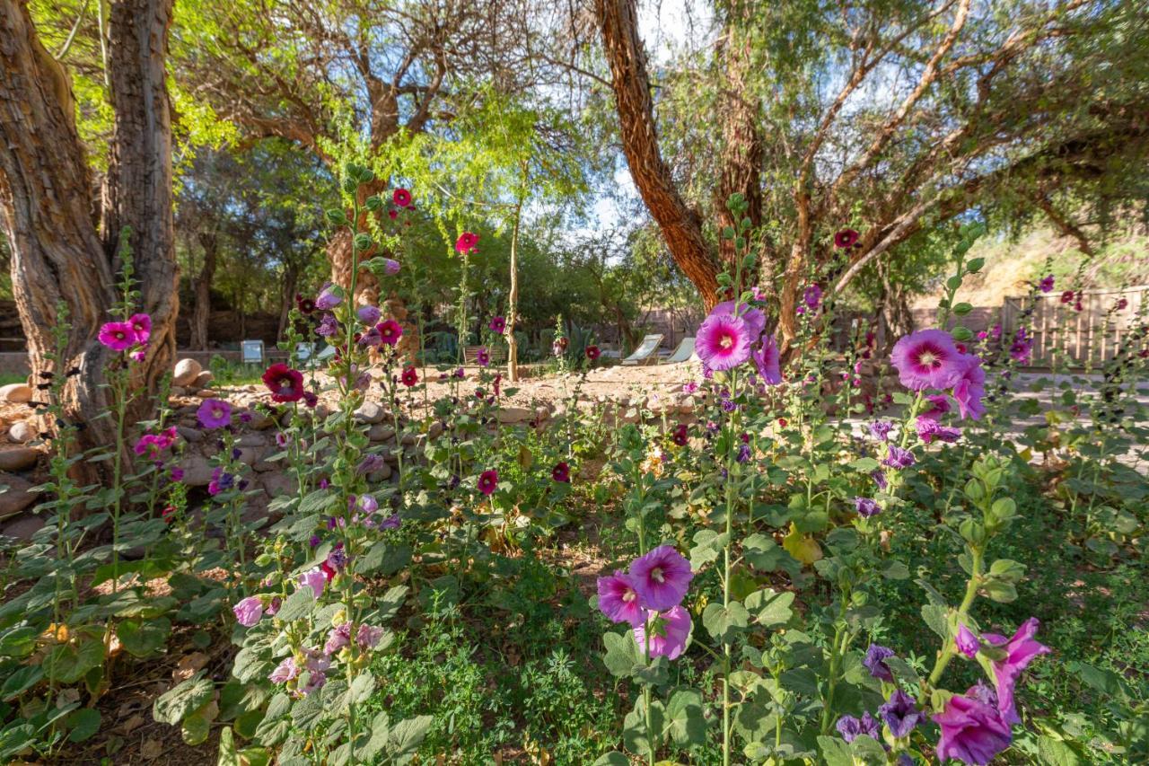 Casa Solcor Boutique Bed & Breakfast San Pedro de Atacama Bagian luar foto